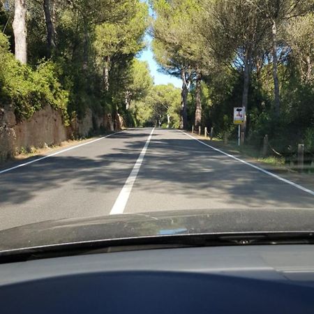 Los Vientos Son Parc Kültér fotó